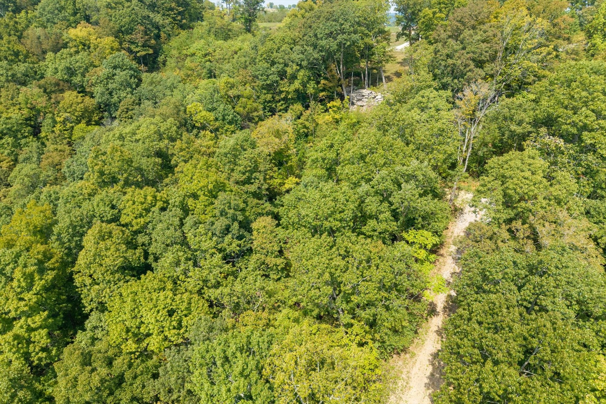 300 East Rockfish Road Celina, TN 38551 - Photo 20 of 31