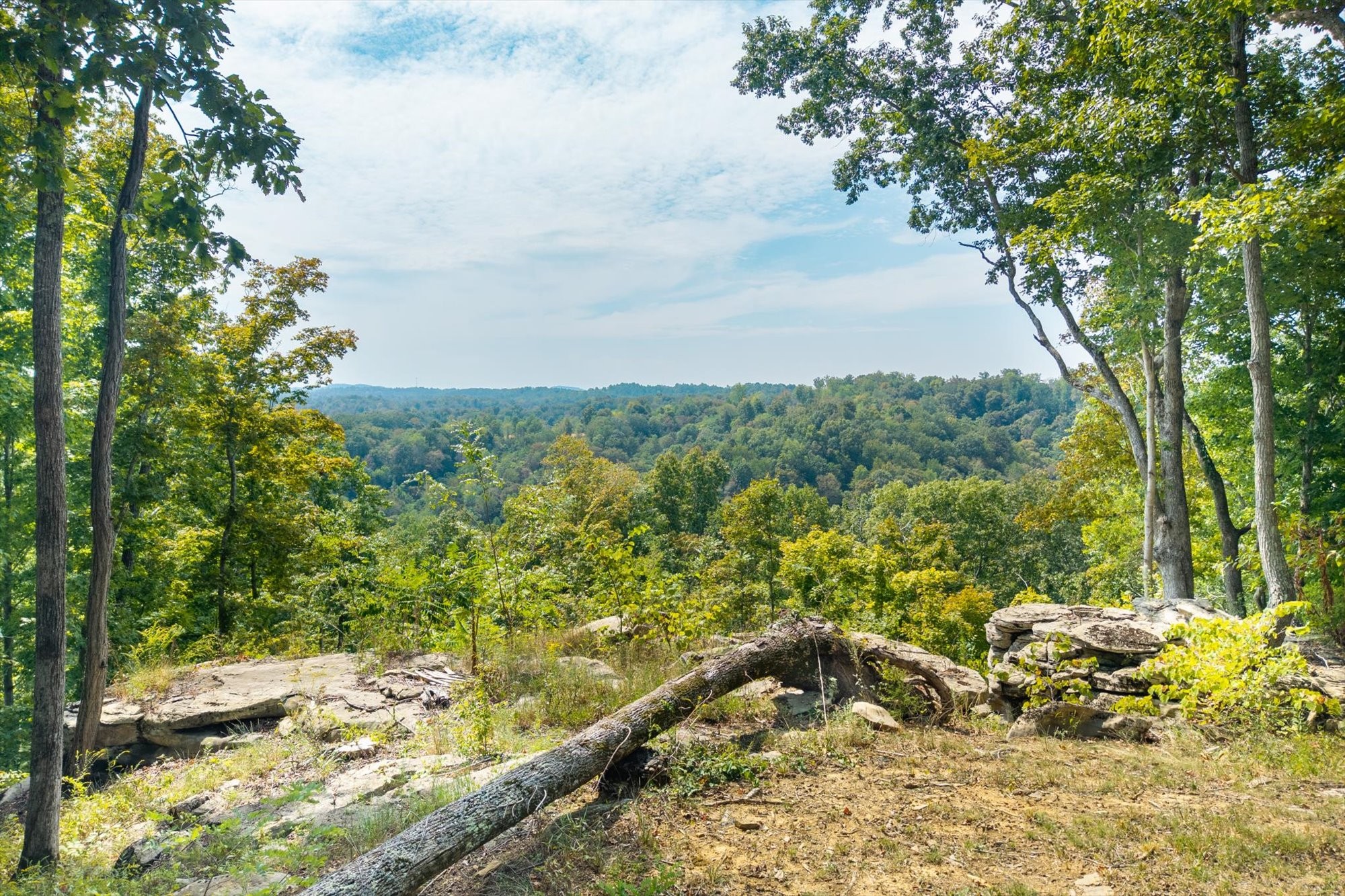 300 East Rockfish Road Celina, TN 38551 - Photo 2 of 31