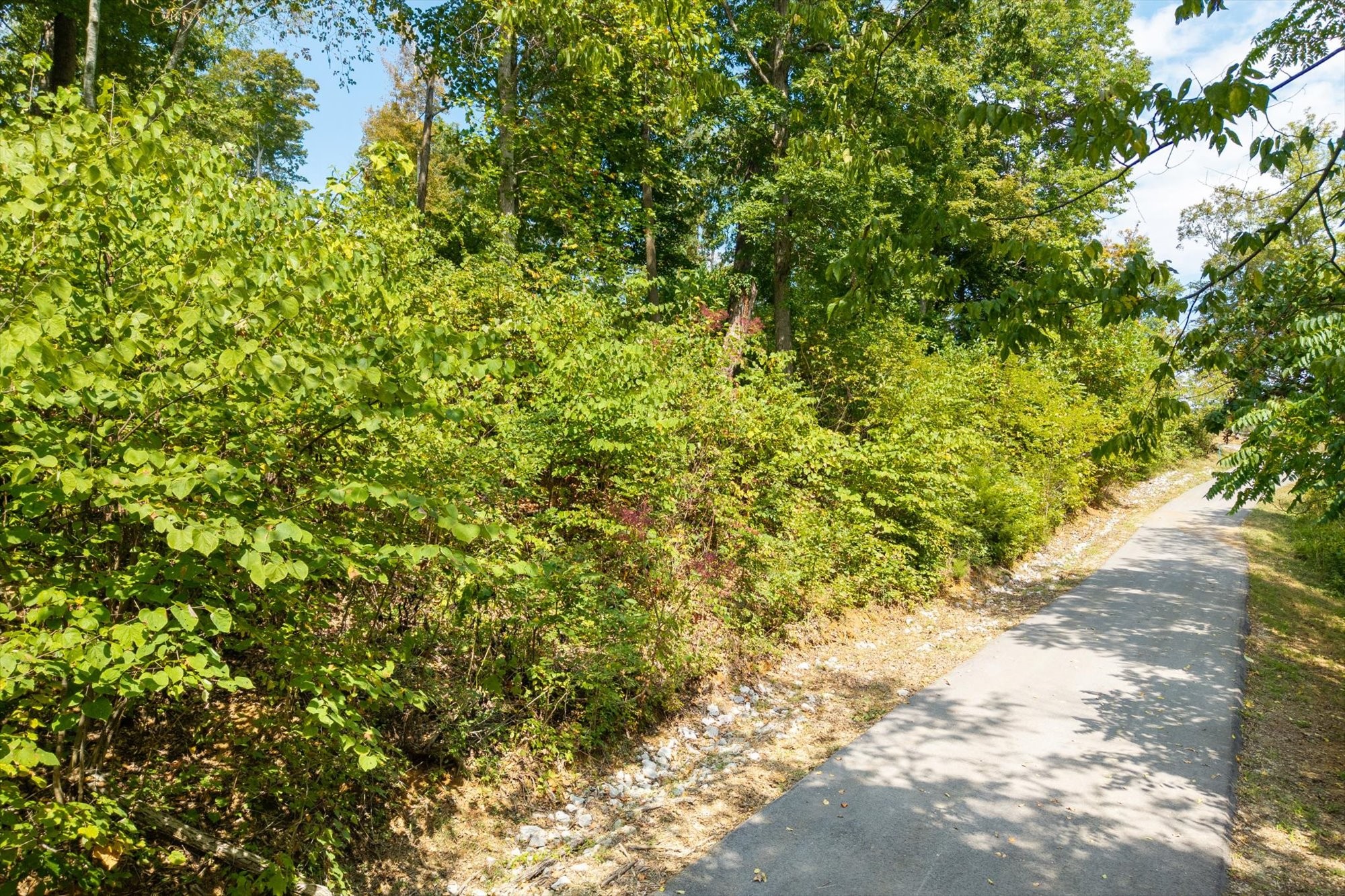 300 East Rockfish Road Celina, TN 38551 - Photo 21 of 31