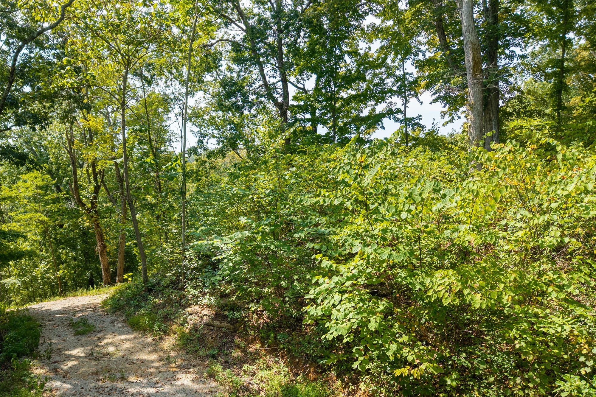 300 East Rockfish Road Celina, TN 38551 - Photo 22 of 31