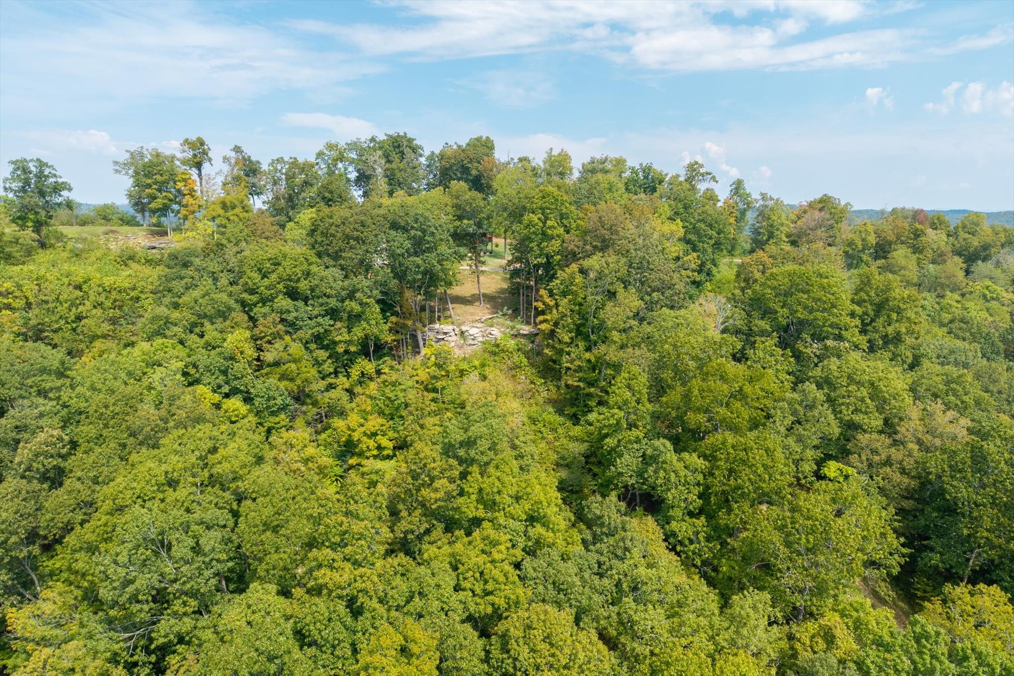 300 East Rockfish Road Celina, TN 38551 - Photo 6 of 31