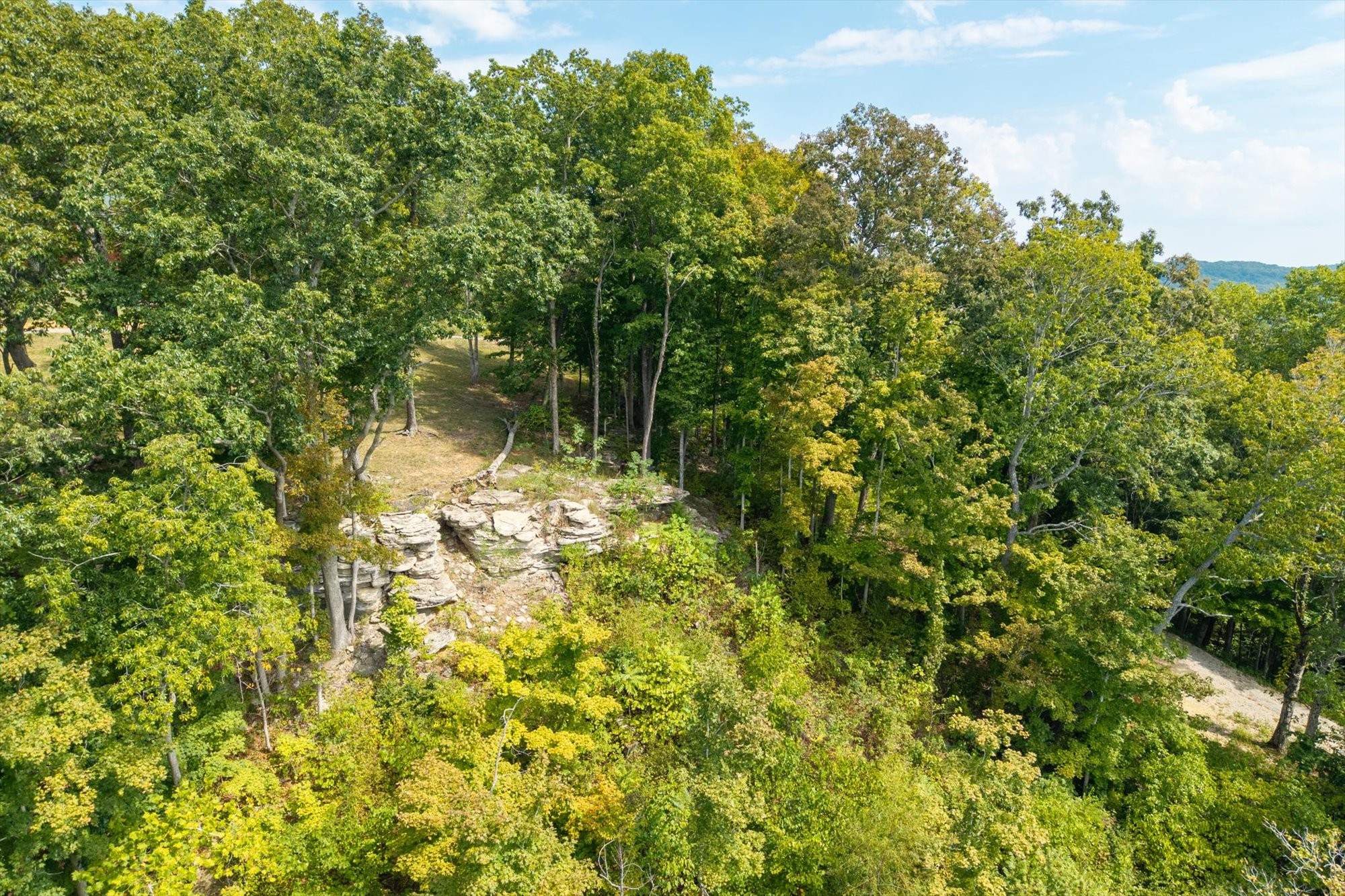 300 East Rockfish Road Celina, TN 38551 - Photo 7 of 31