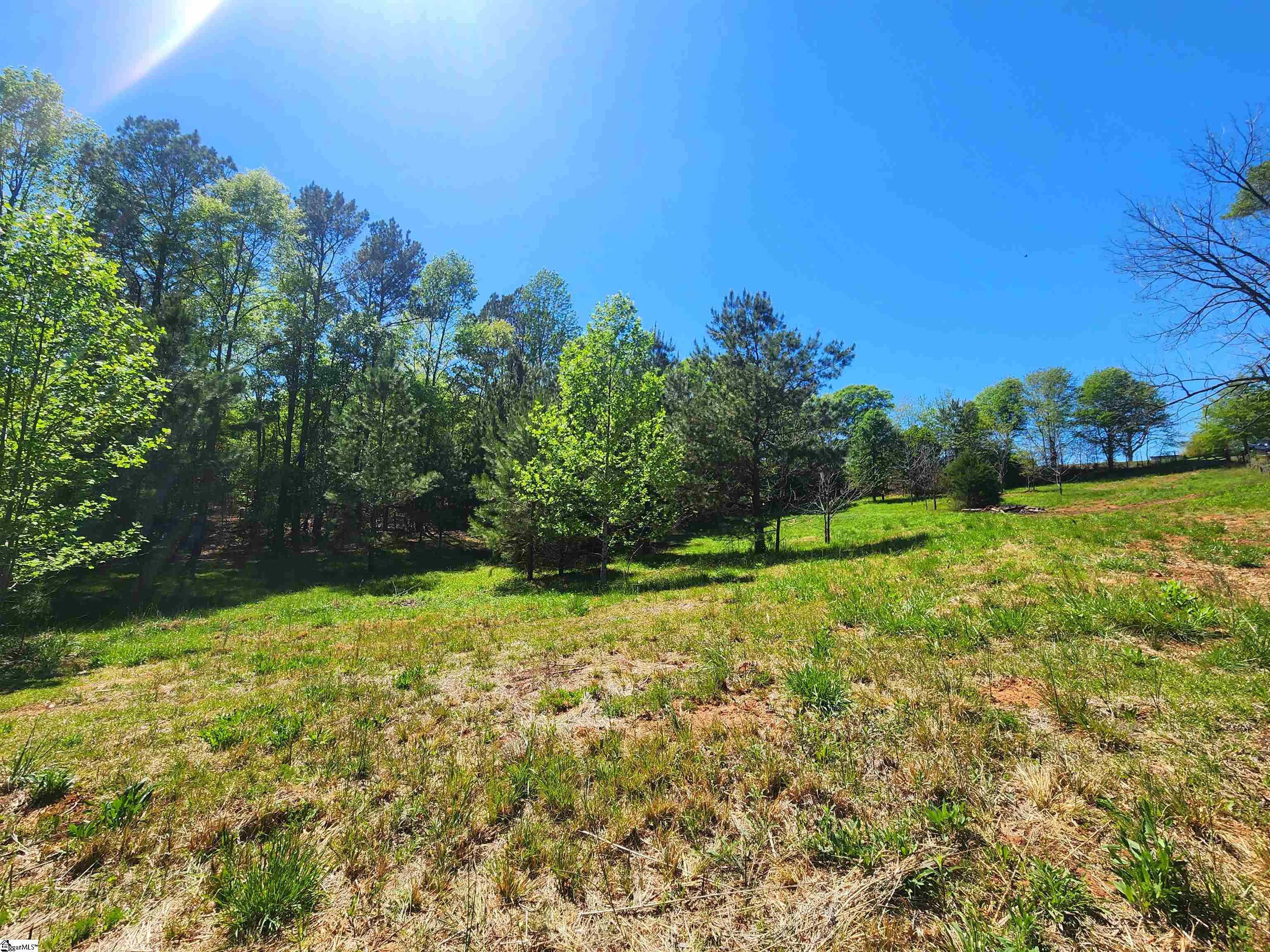 0 Allgood Bridge Road Pickens, SC 29671 - Photo 11 of 17