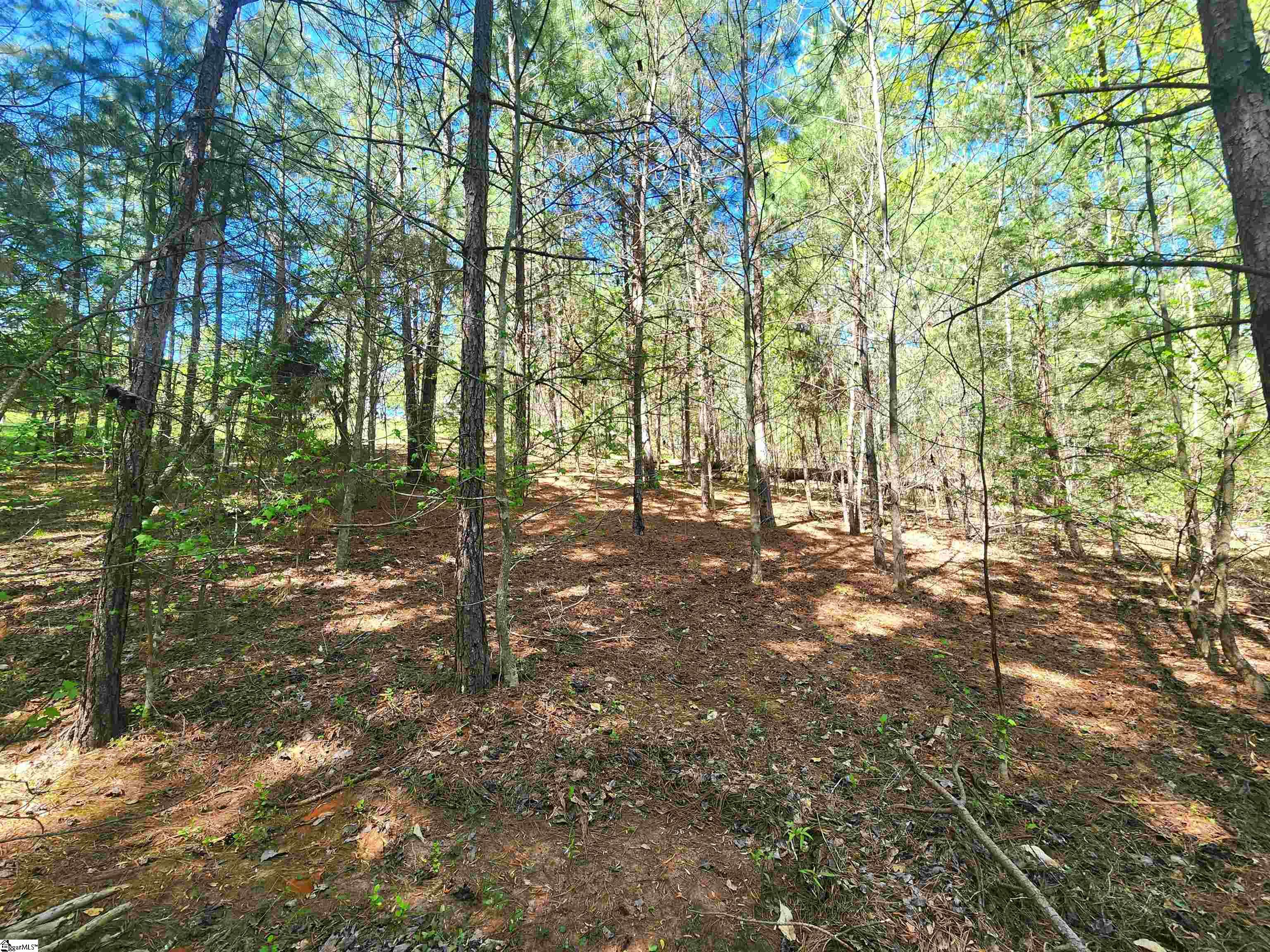 0 Allgood Bridge Road Pickens, SC 29671 - Photo 12 of 17