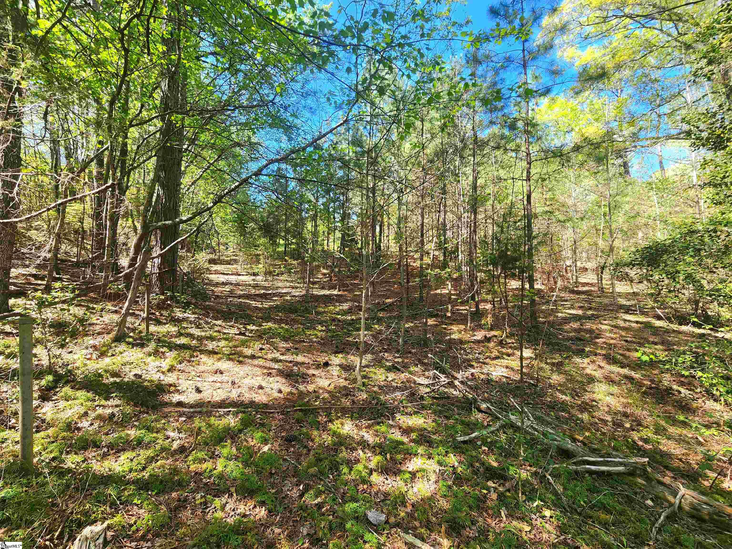 0 Allgood Bridge Road Pickens, SC 29671 - Photo 13 of 17