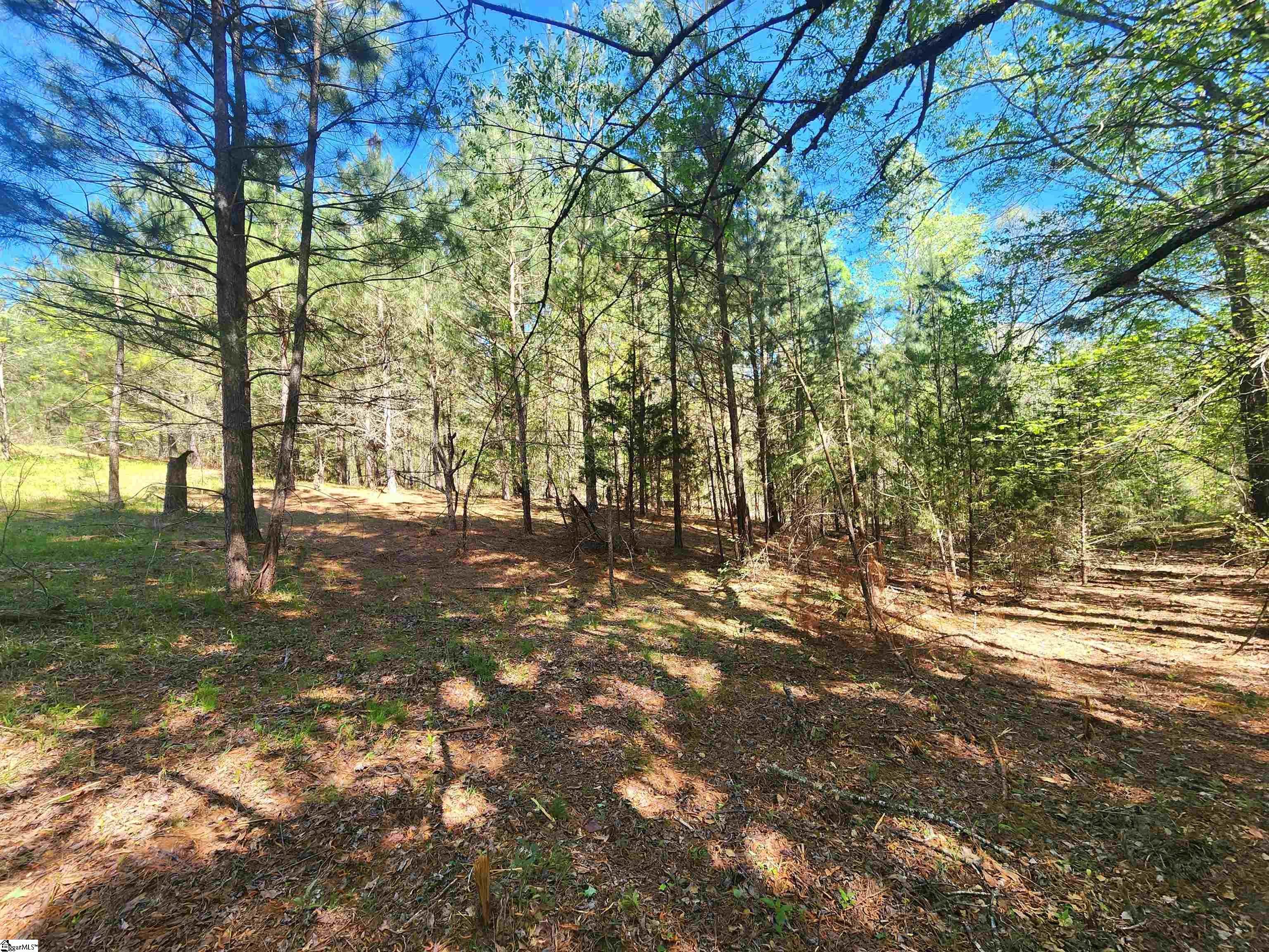 0 Allgood Bridge Road Pickens, SC 29671 - Photo 14 of 17