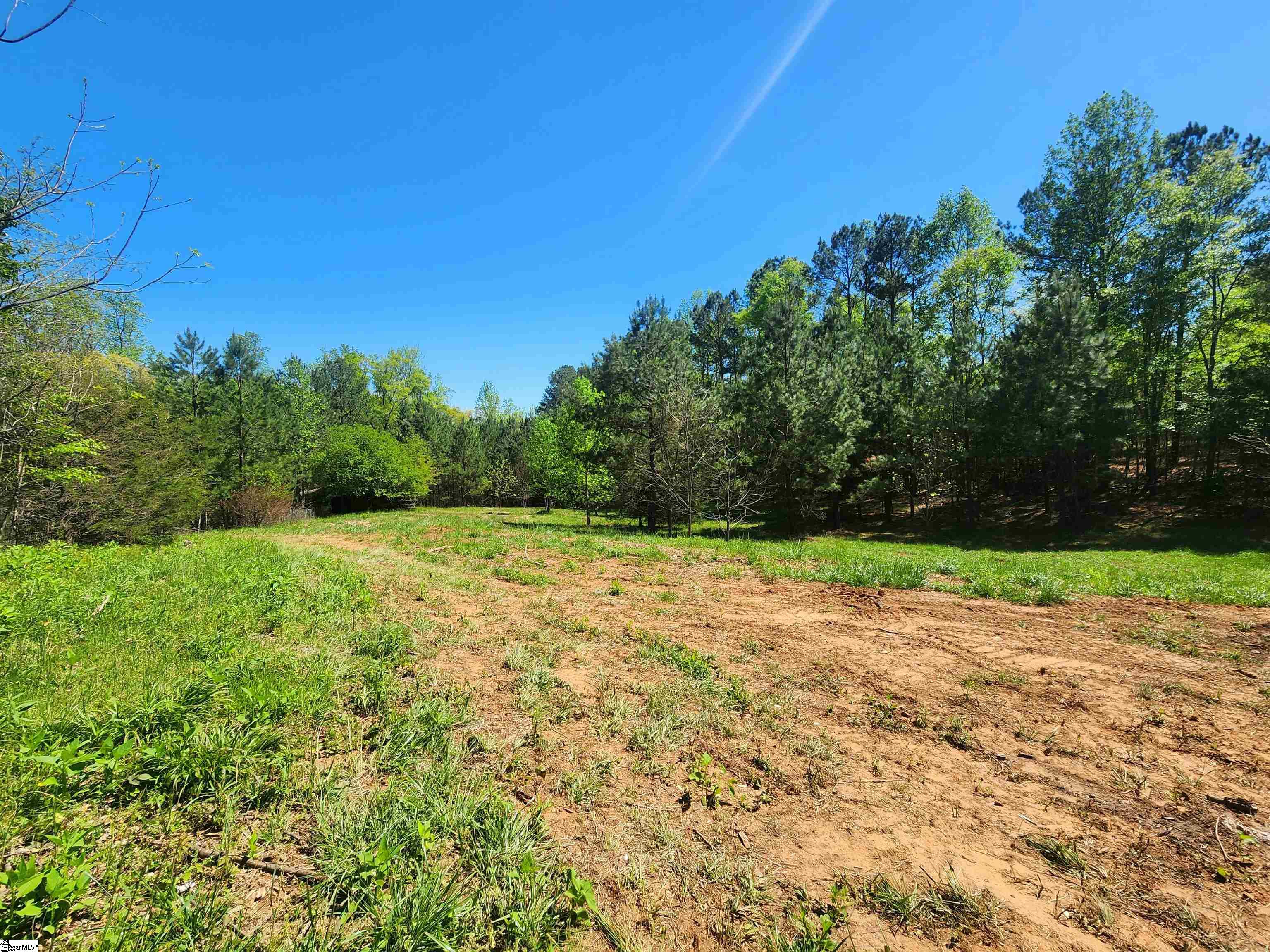 0 Allgood Bridge Road Pickens, SC 29671 - Photo 3 of 17