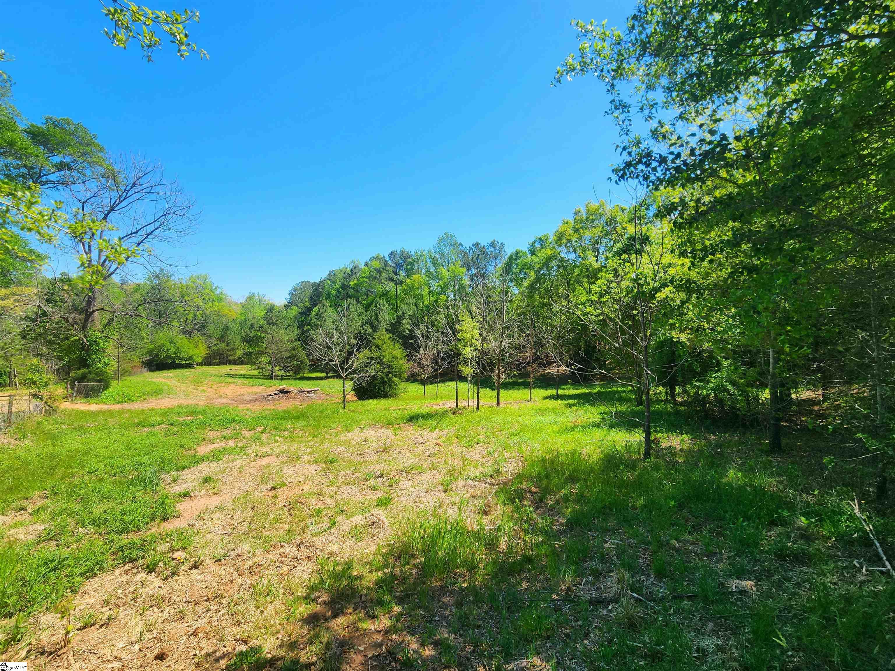 0 Allgood Bridge Road Pickens, SC 29671 - Photo 4 of 17