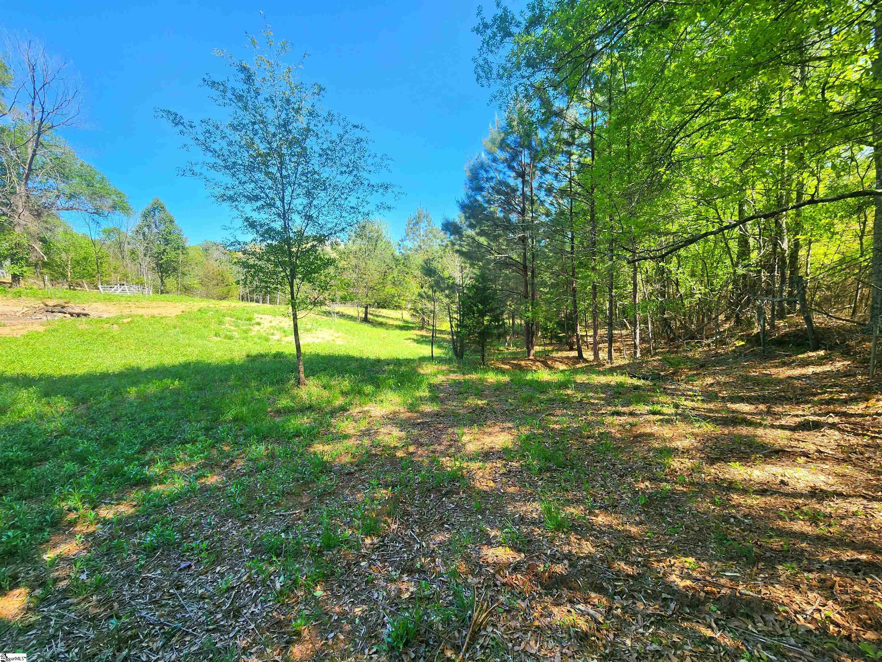 0 Allgood Bridge Road Pickens, SC 29671 - Photo 5 of 17