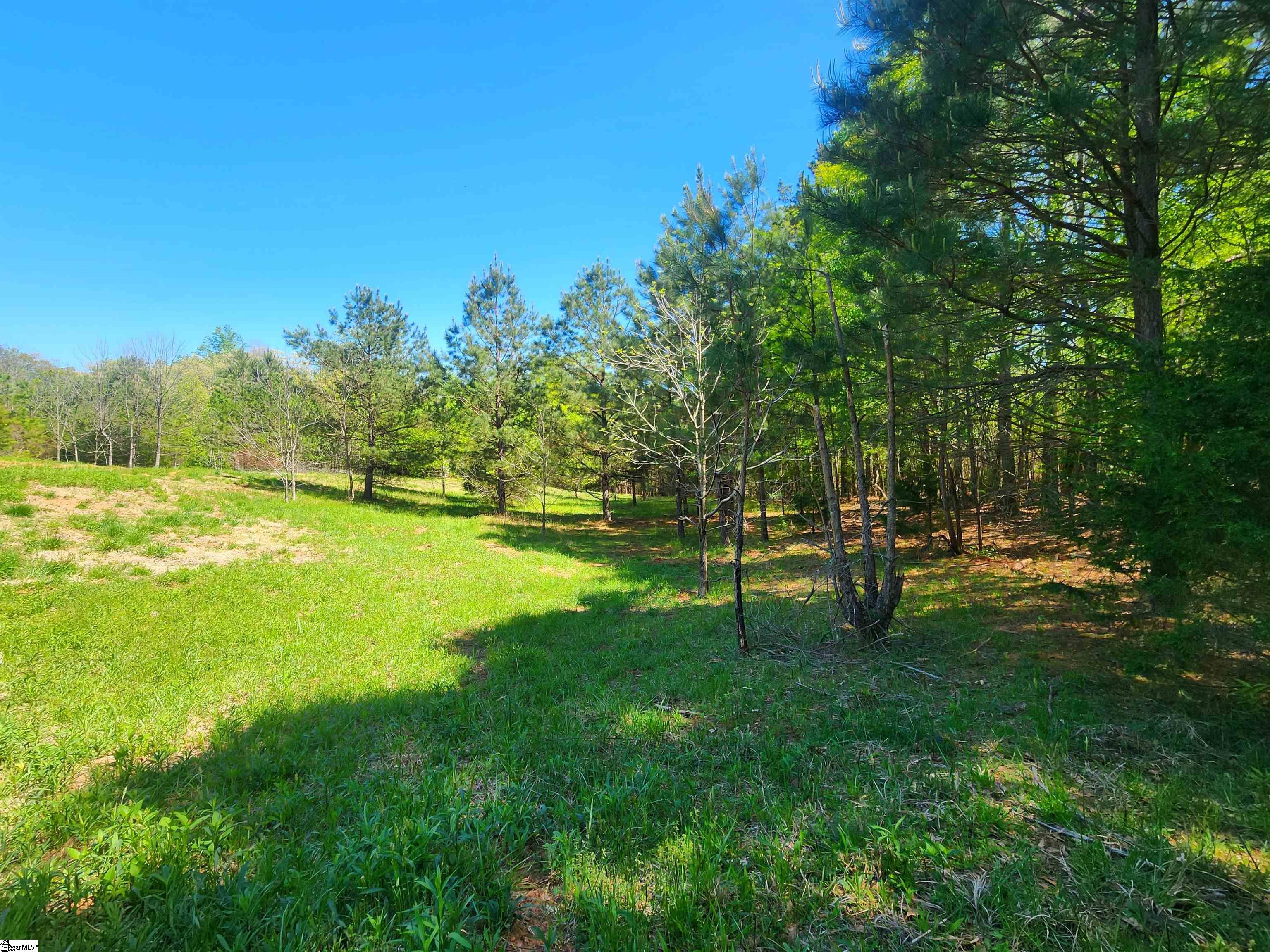0 Allgood Bridge Road Pickens, SC 29671 - Photo 6 of 17
