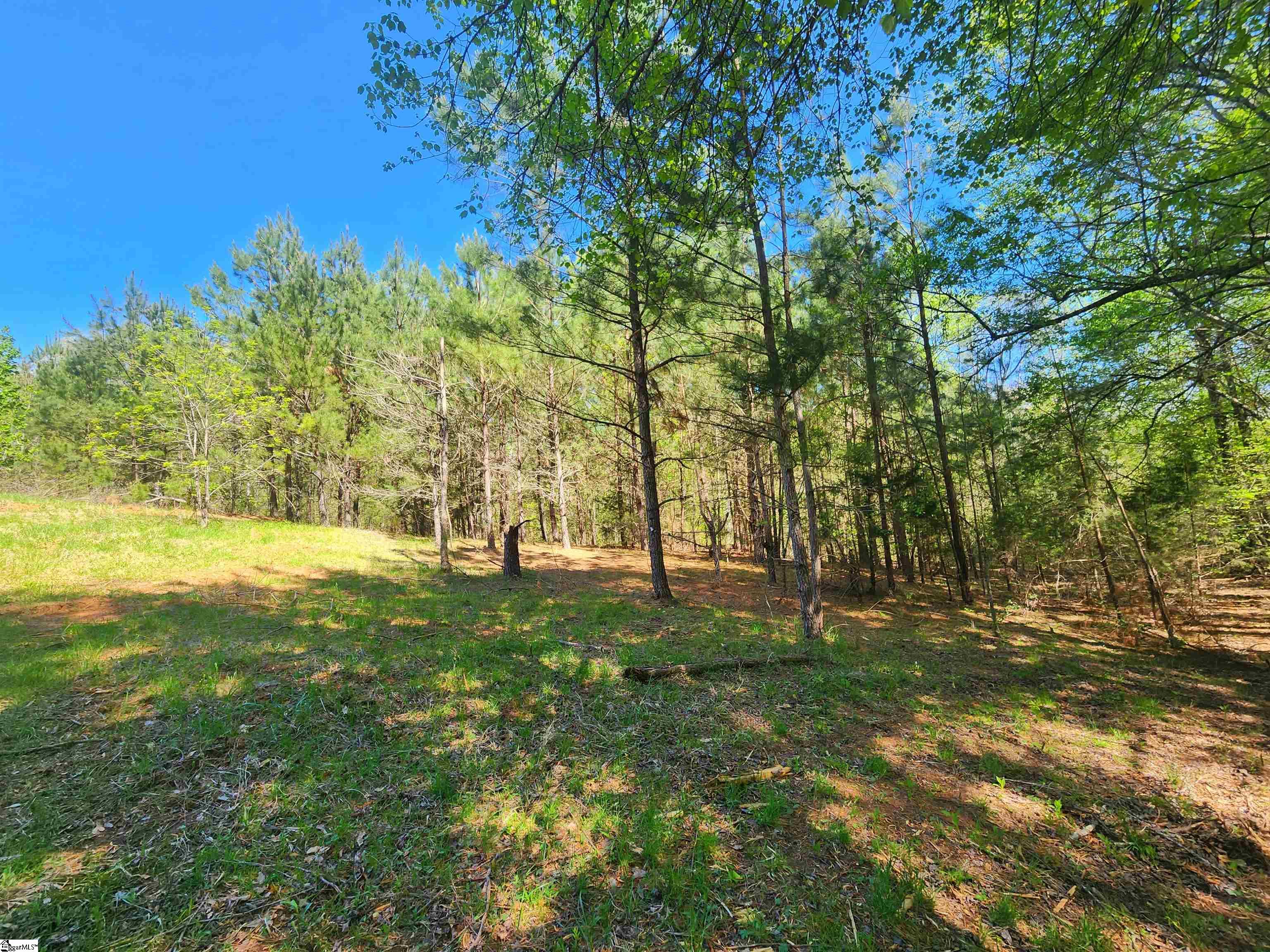 0 Allgood Bridge Road Pickens, SC 29671 - Photo 7 of 17