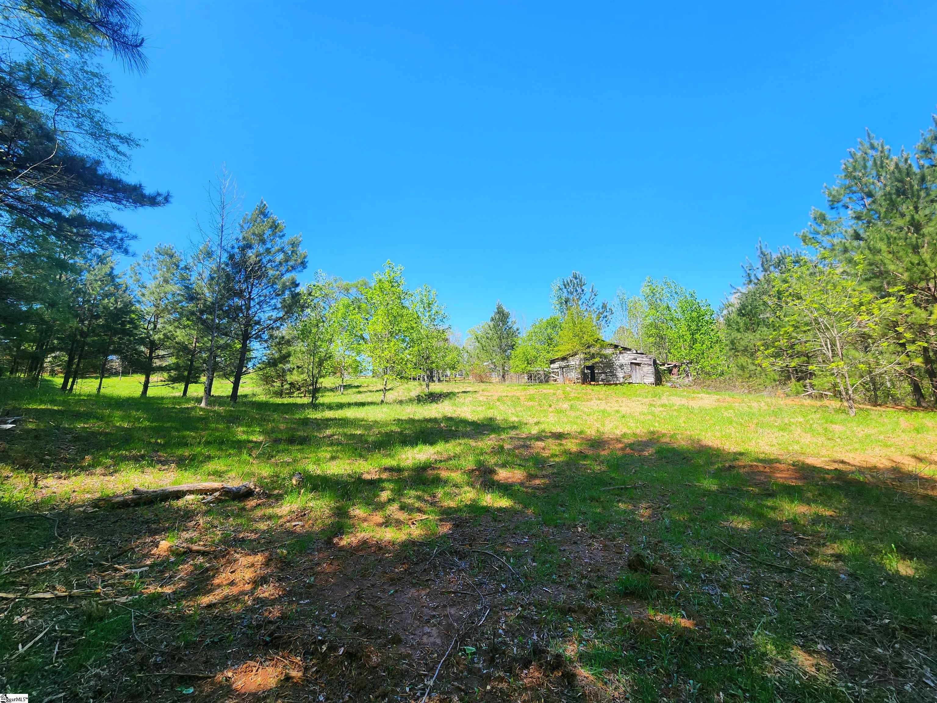 0 Allgood Bridge Road Pickens, SC 29671 - Photo 8 of 17