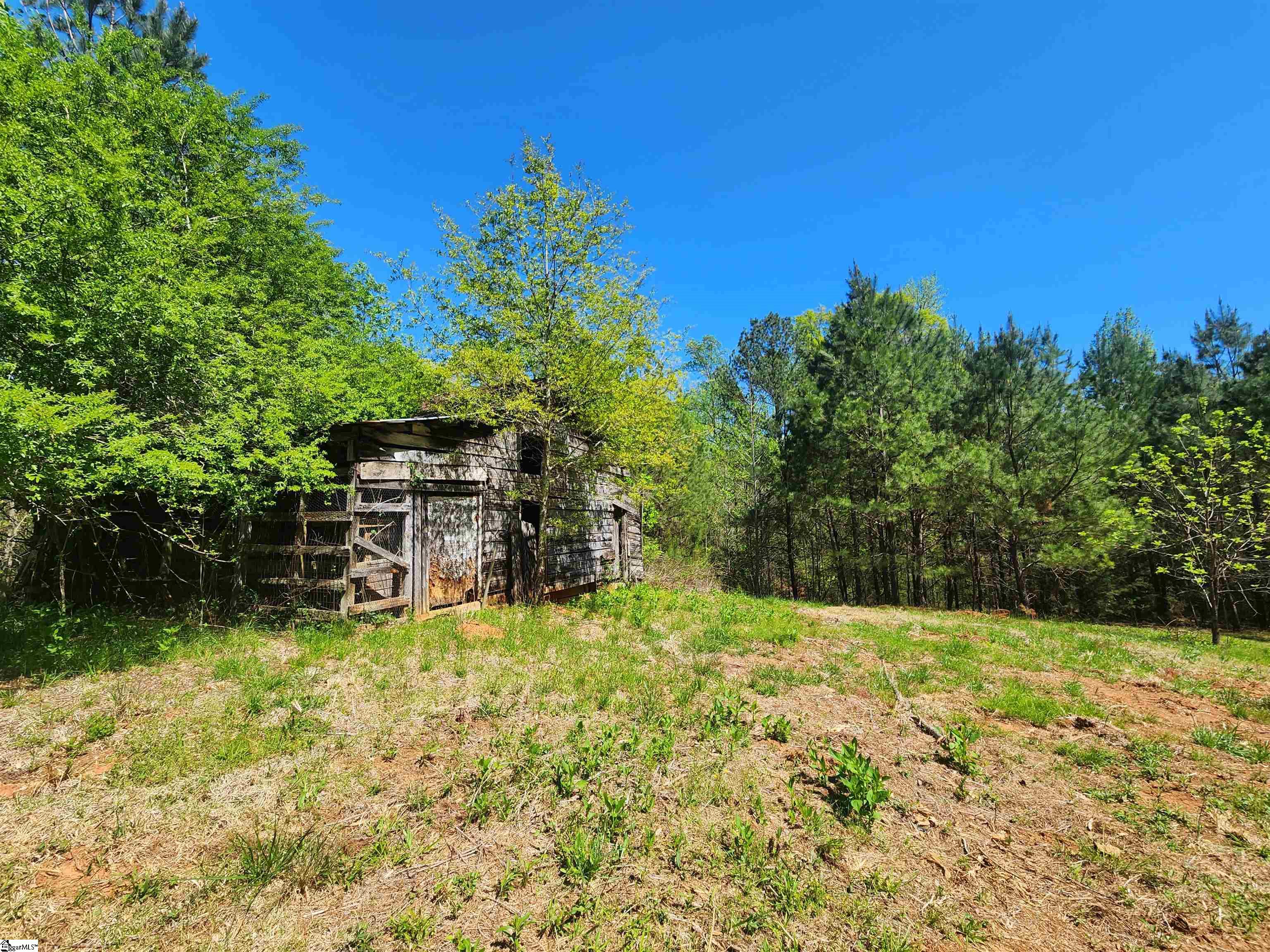 0 Allgood Bridge Road Pickens, SC 29671 - Photo 9 of 17
