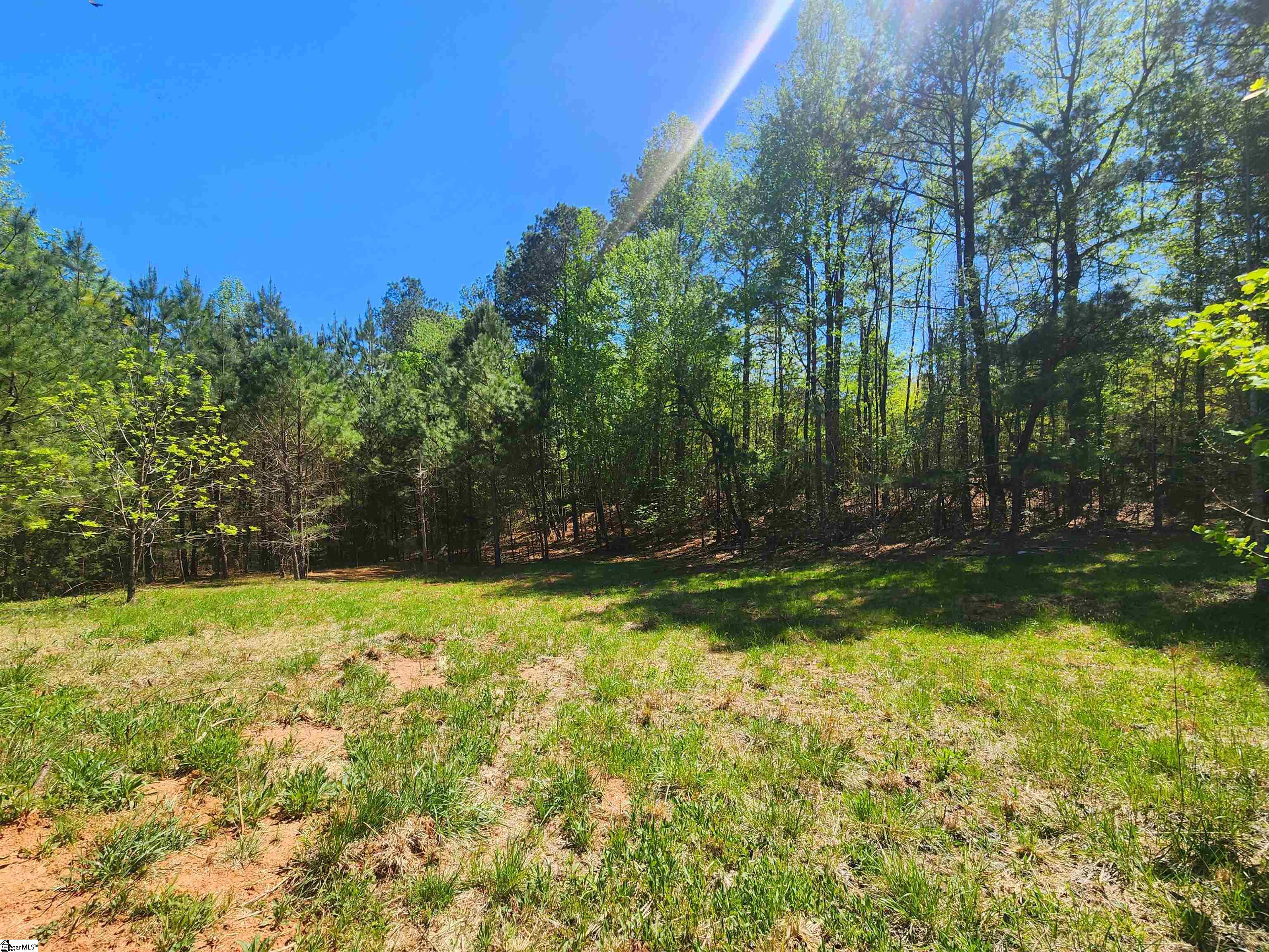 0 Allgood Bridge Road Pickens, SC 29671 - Photo 10 of 17
