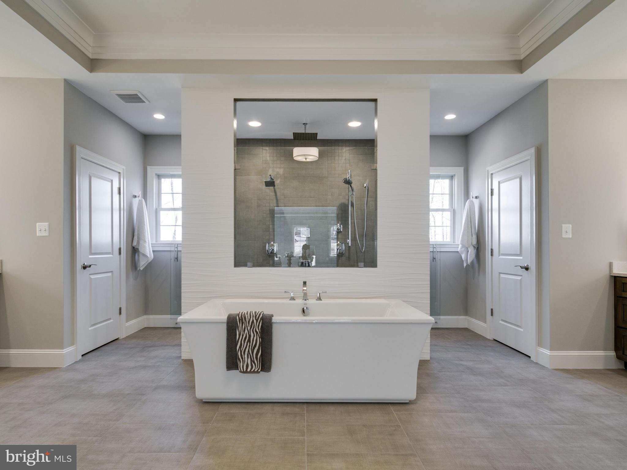 103 Interpromontory Road Great Falls, VA 22066 - Photo 22 of 30 Free standing tub and incredible dual entry shower