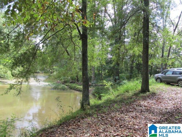 79 Highway 79, Unit 33 Cleveland, AL 35049 - Photo 4 of 32