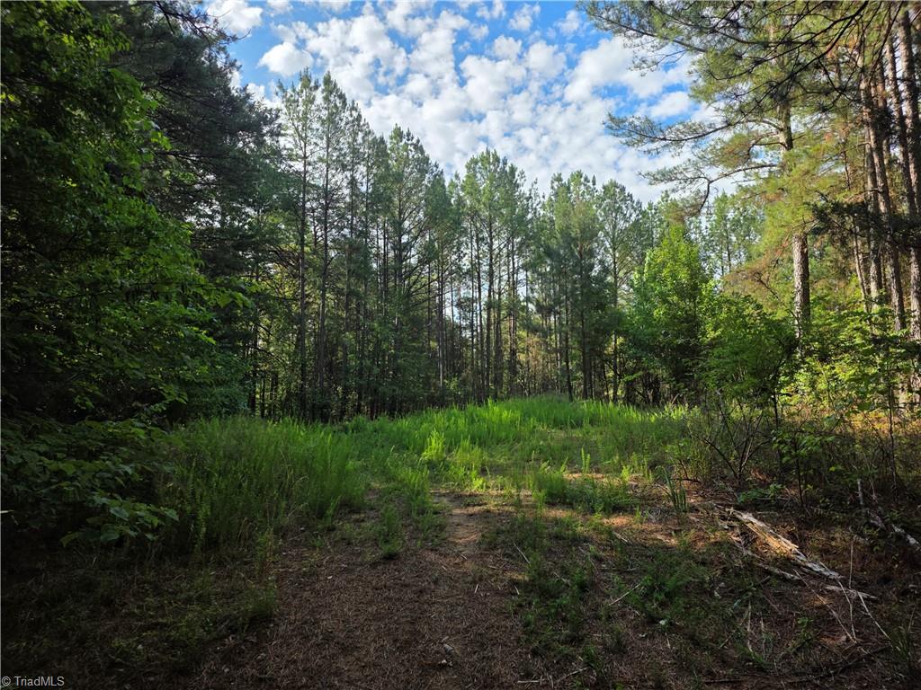 Xx 31.85-ac Xx 31.85-ac Hampton Road Germanton, NC 27019 - Photo 22 of 33