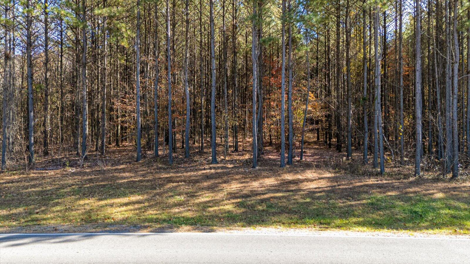 0 Raulston Fls Road, Unit LOT 121 Jasper, TN 37347 - Photo 13 of 38 02-Raulston Falls Rd-2