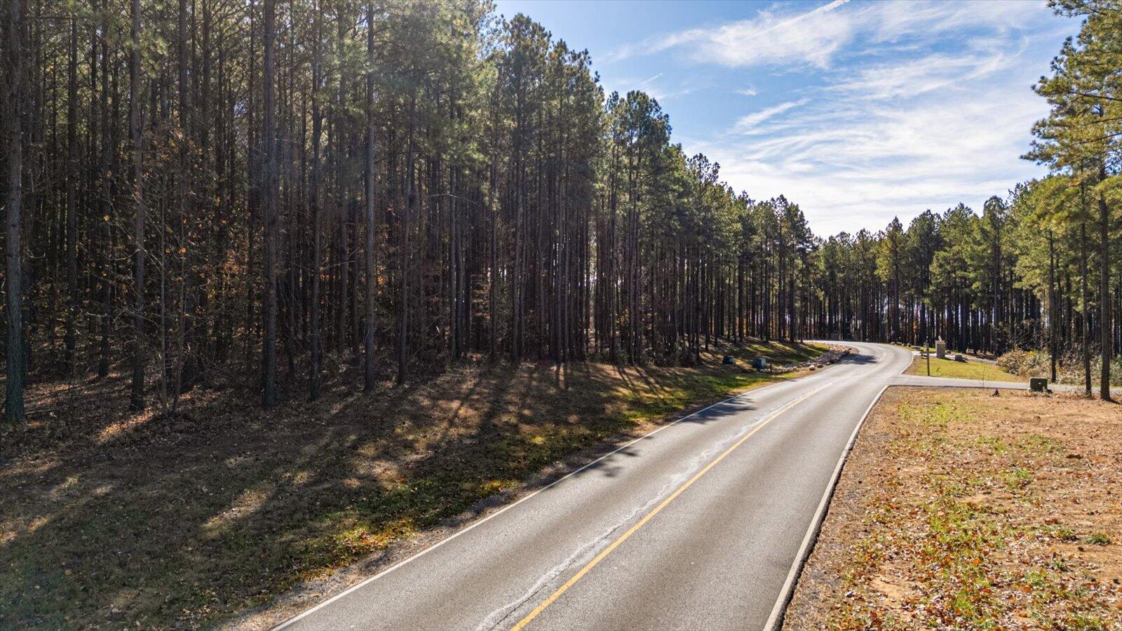 0 Raulston Fls Road, Unit LOT 121 Jasper, TN 37347 - Photo 3 of 38 03-Raulston Falls Rd-3