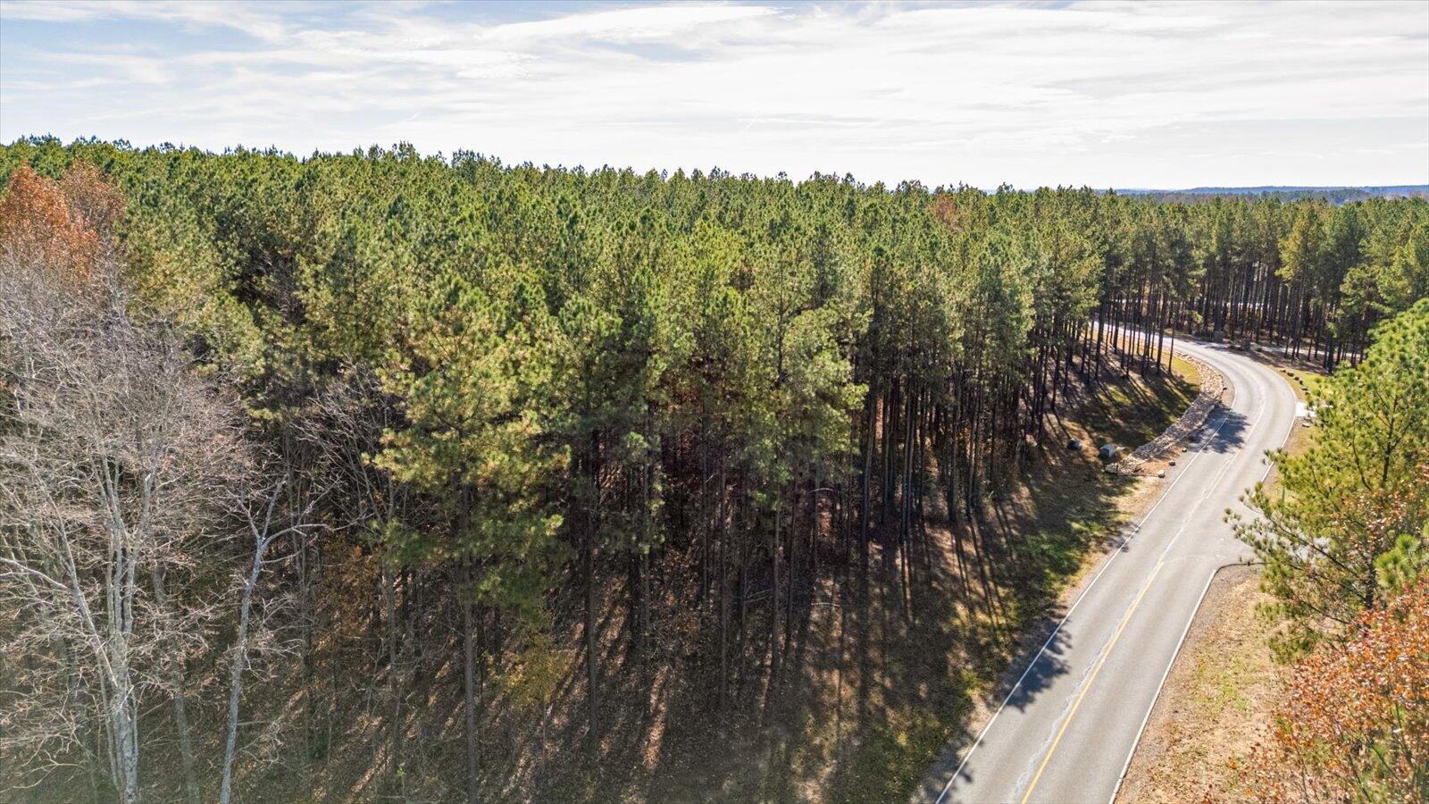 0 Raulston Fls Road, Unit LOT 121 Jasper, TN 37347 - Photo 4 of 38 06-Raulston Falls Rd-6