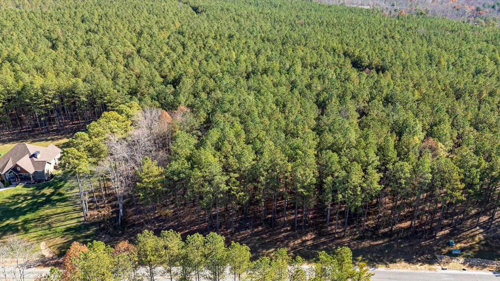 0 Raulston Fls Road, Unit LOT 121 Jasper, TN 37347 - Photo 8 of 38 07-Raulston Falls Rd-7