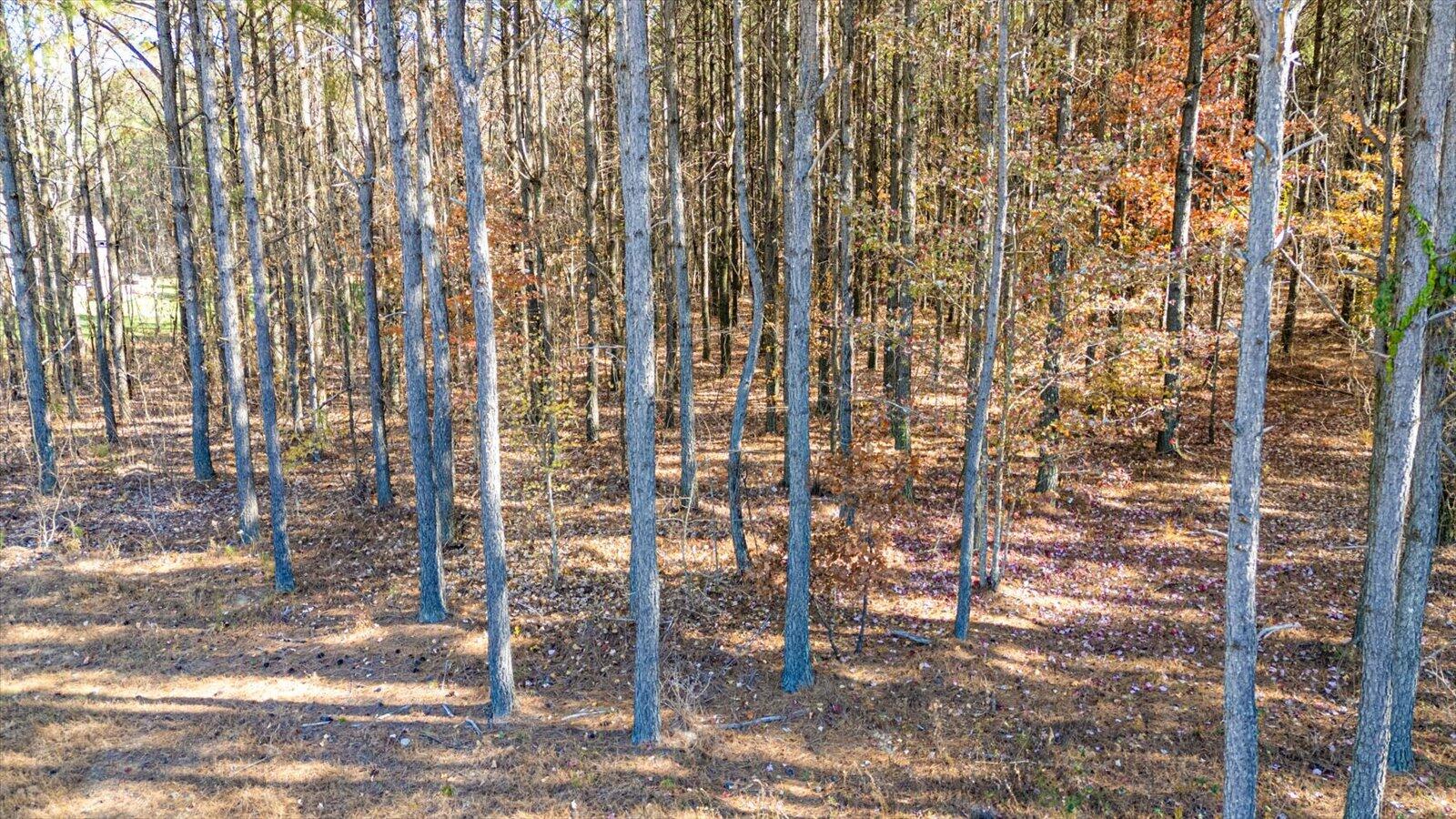 0 Raulston Fls Road, Unit LOT 121 Jasper, TN 37347 - Photo 10 of 38 05-Raulston Falls Rd-5