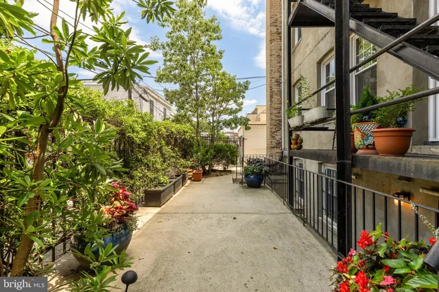 a view of a pathway that has potted plants