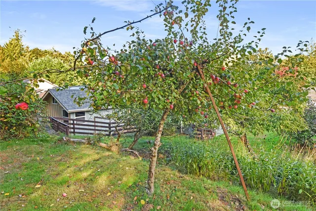 a backyard of a house with lots of green space and chair