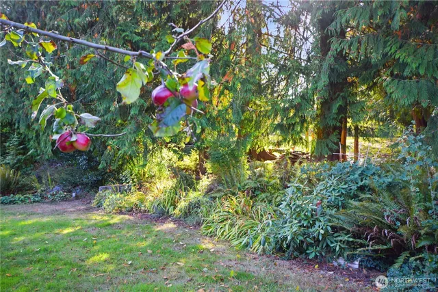 a view of a garden with plants and a building in the background