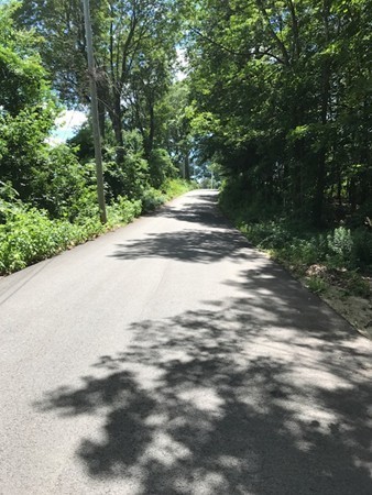 970 Bearsden Road Athol, MA 01331 - Photo 14 of 30 a view of a yard with plants and trees