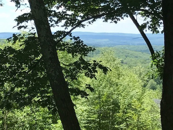 970 Bearsden Road Athol, MA 01331 - Photo 4 of 30 a view of a garden with a tree