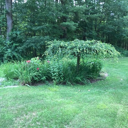 970 Bearsden Road Athol, MA 01331 - Photo 5 of 30 a view of a garden