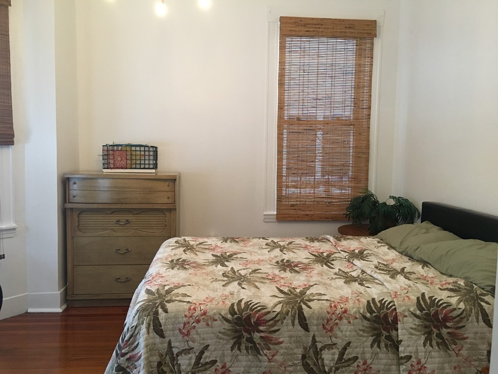 2 Adamson Street, Unit 2 Boston, MA 02134 - Photo 5 of 15
