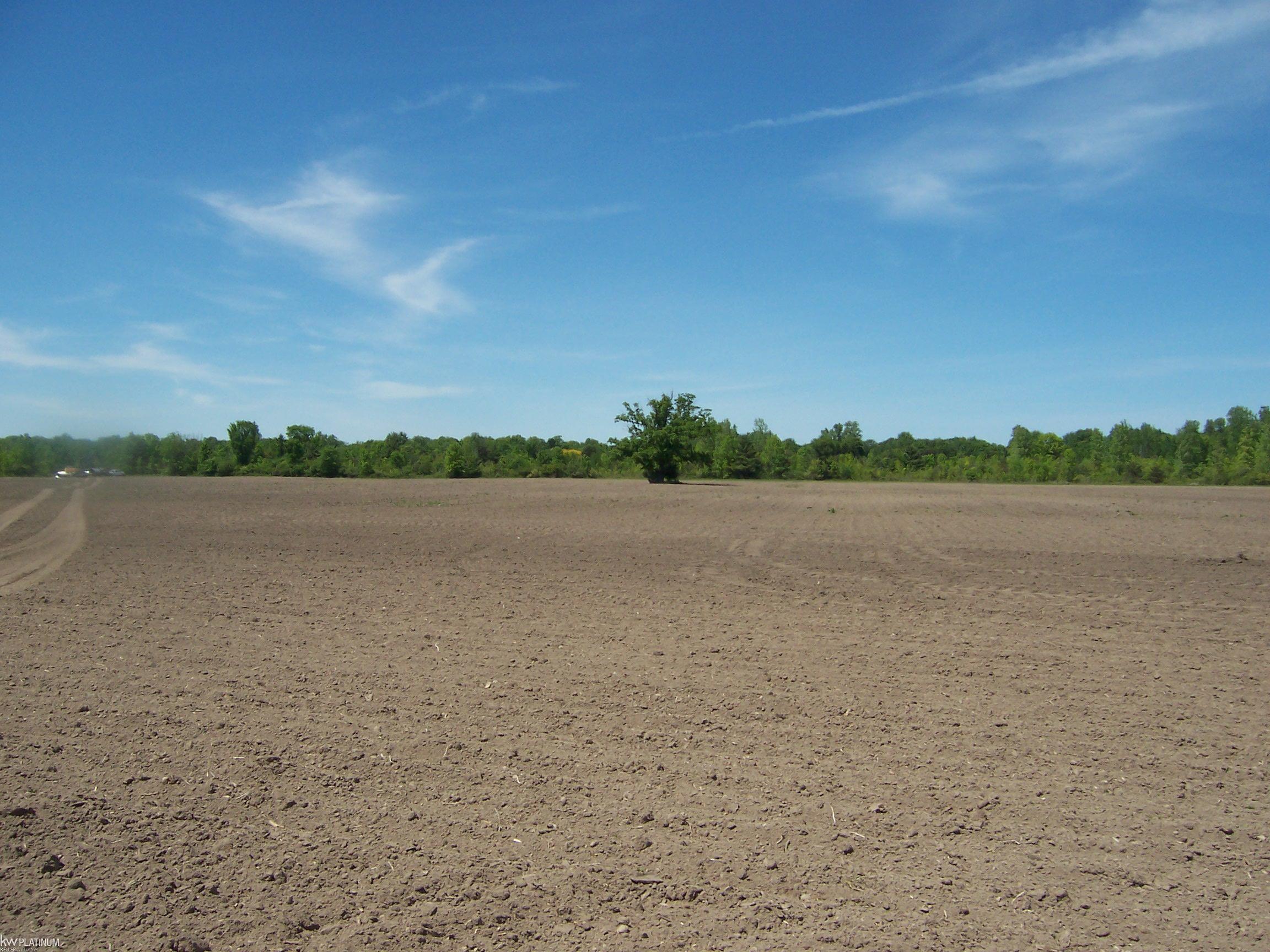 Lot 9 Lapeer Road Smiths Creek, MI 48074 - Photo 2 of 2