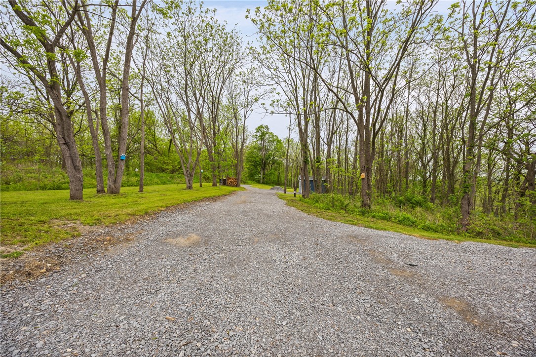 9380 Big Tree Road Richmond, NY 14466 - Photo 4 of 25