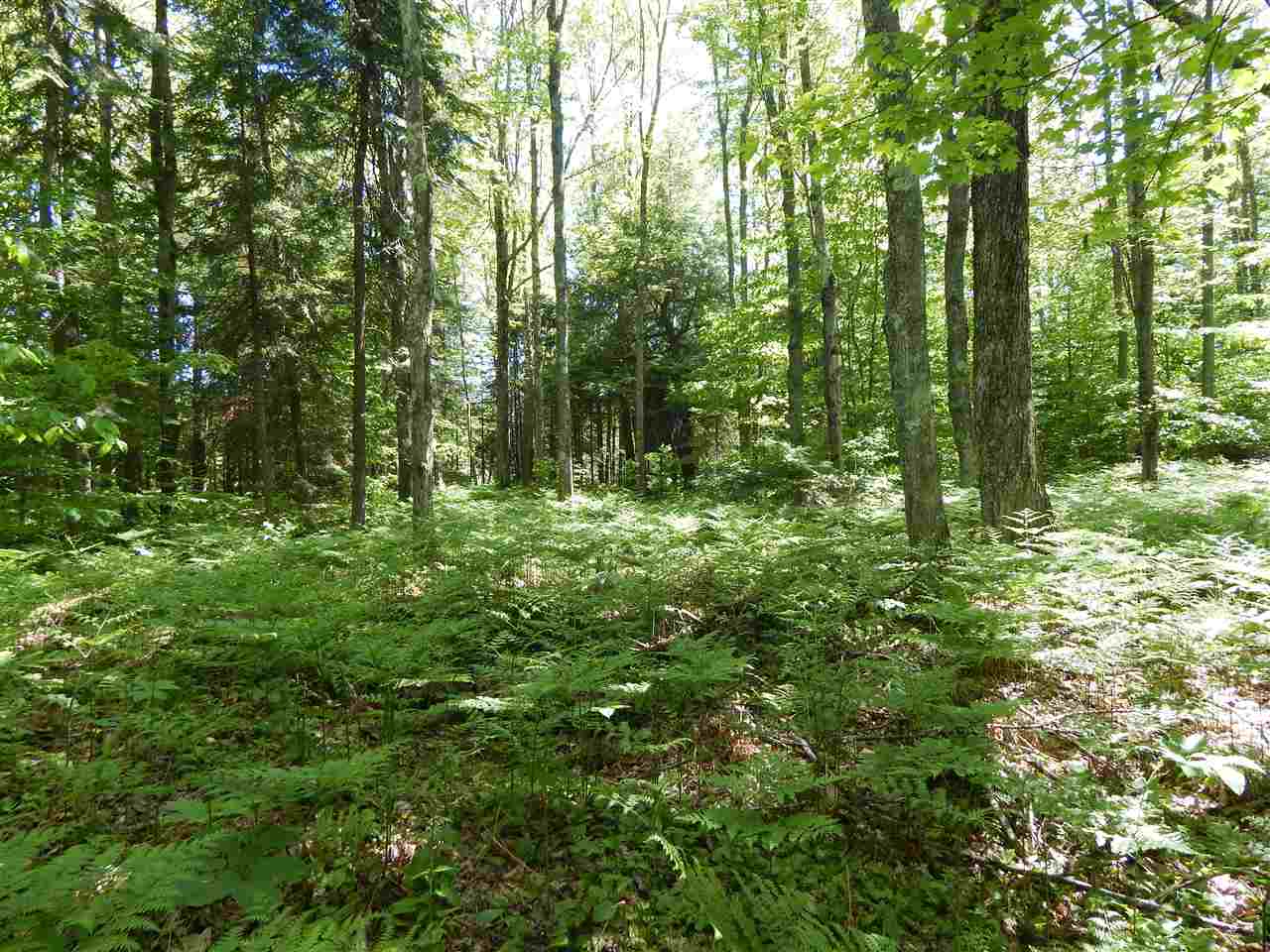 2434 Low Highrolloway Road Manistique, MI 49854 - Photo 85 of 96 1802122-85.JPG