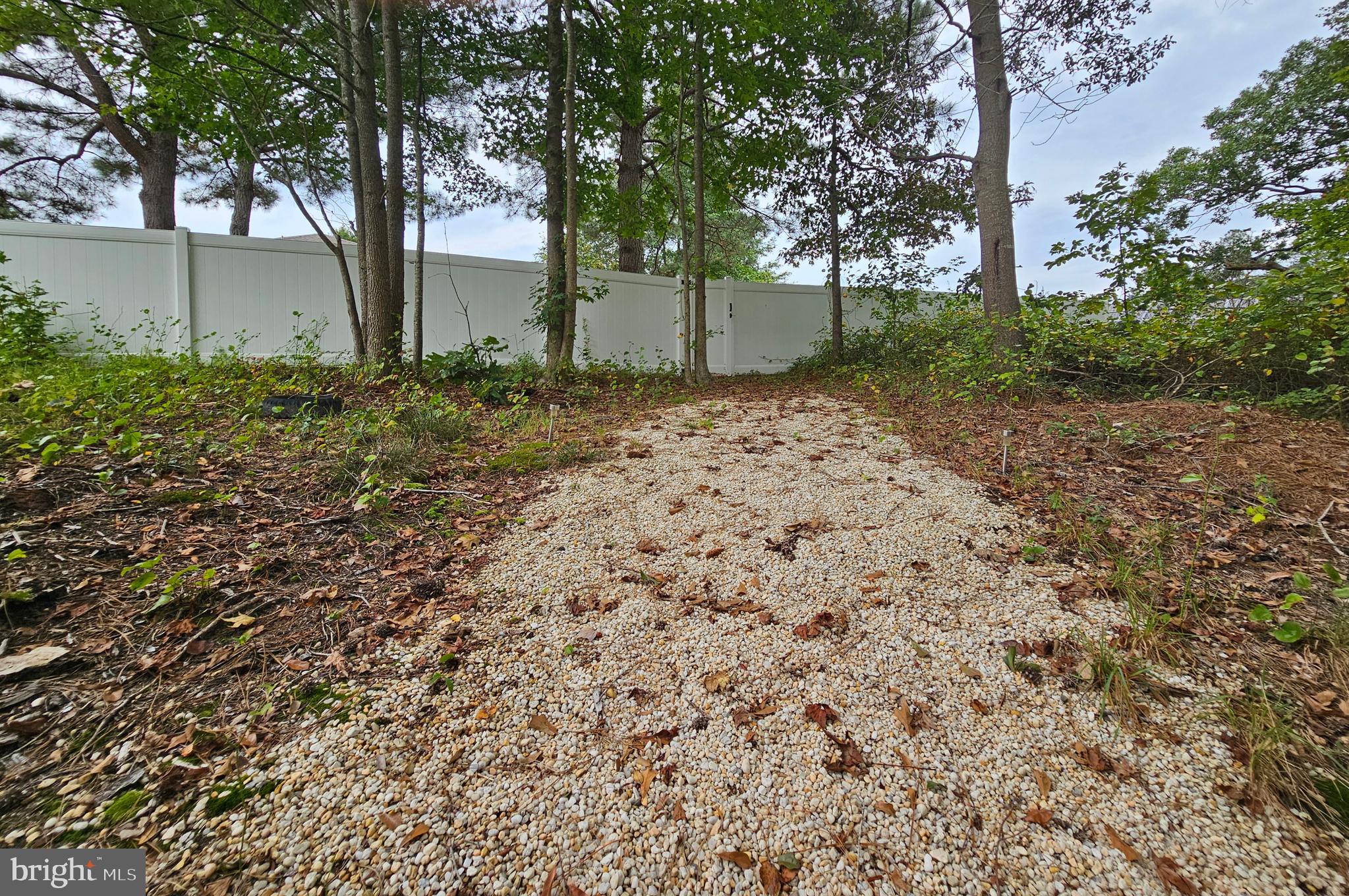 415 Creekside Trail Fruitland, MD 21826 - Photo 36 of 41 a backyard of a house with lots of green space