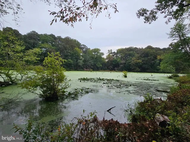 a view of a lake with trees in the background