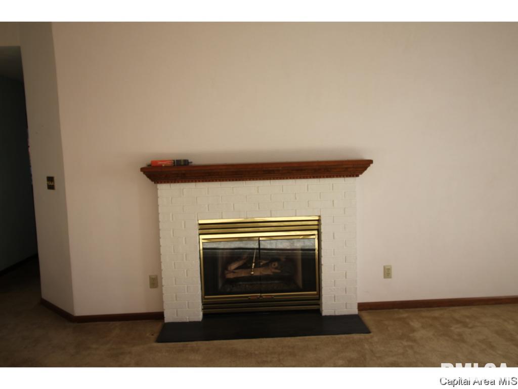 1807 Cogmill Court Springfield, IL 62704 - Photo 3 of 7 Gallery Image 3