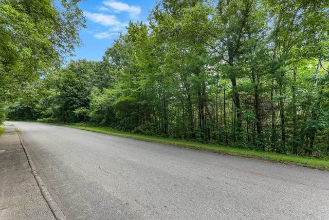 a view of a field with plants and trees