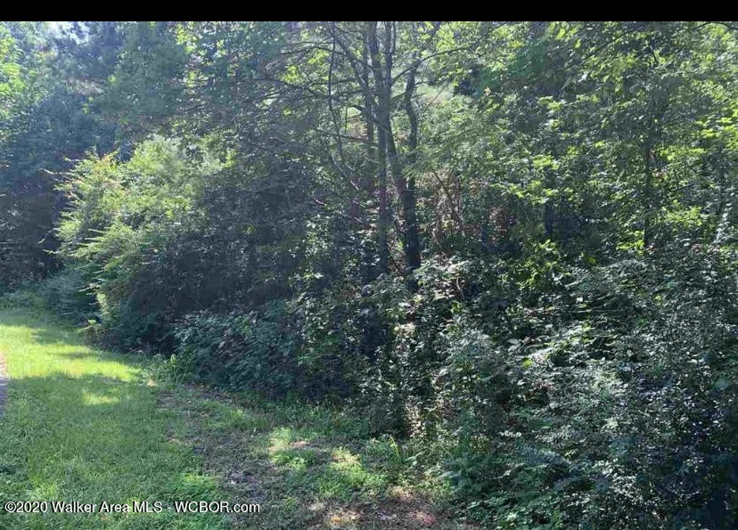 Hayfield Loop Dora, AL 35062 - Photo 1 of 1 Gallery Image 1
