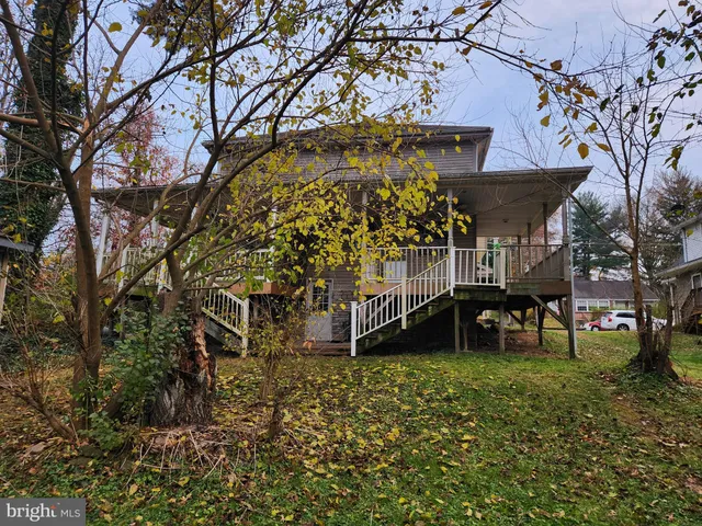 a small garden covered with tall trees