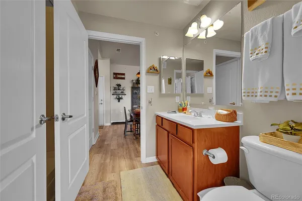 a bathroom with a sink toilet vanity and shower