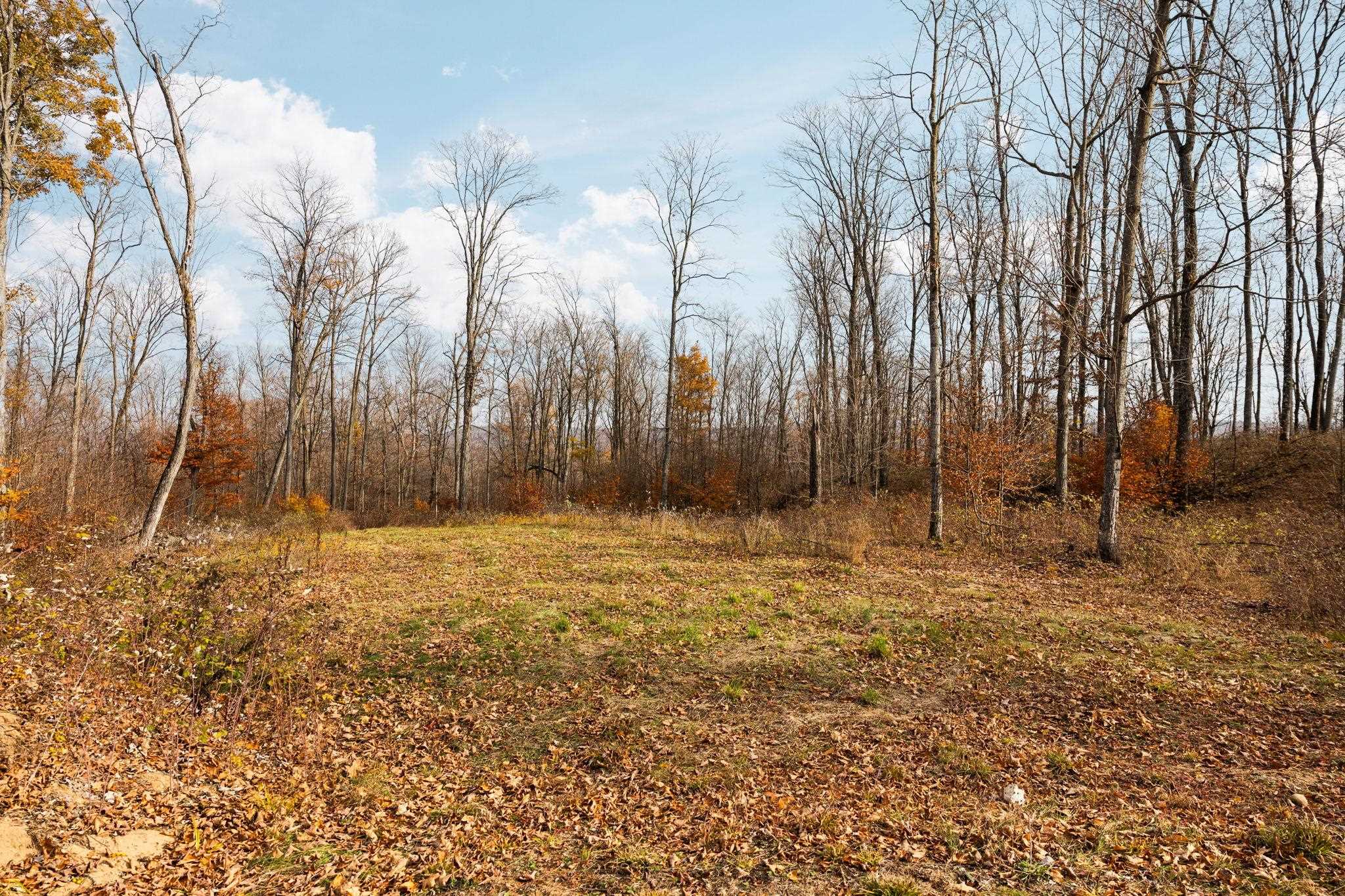 10550 South Cedar Road Cedar, MI 49621 - Photo 29 of 46 1947647-4755c3ee-ad3a-49a7-af82-8d80a85d6e68.JPG