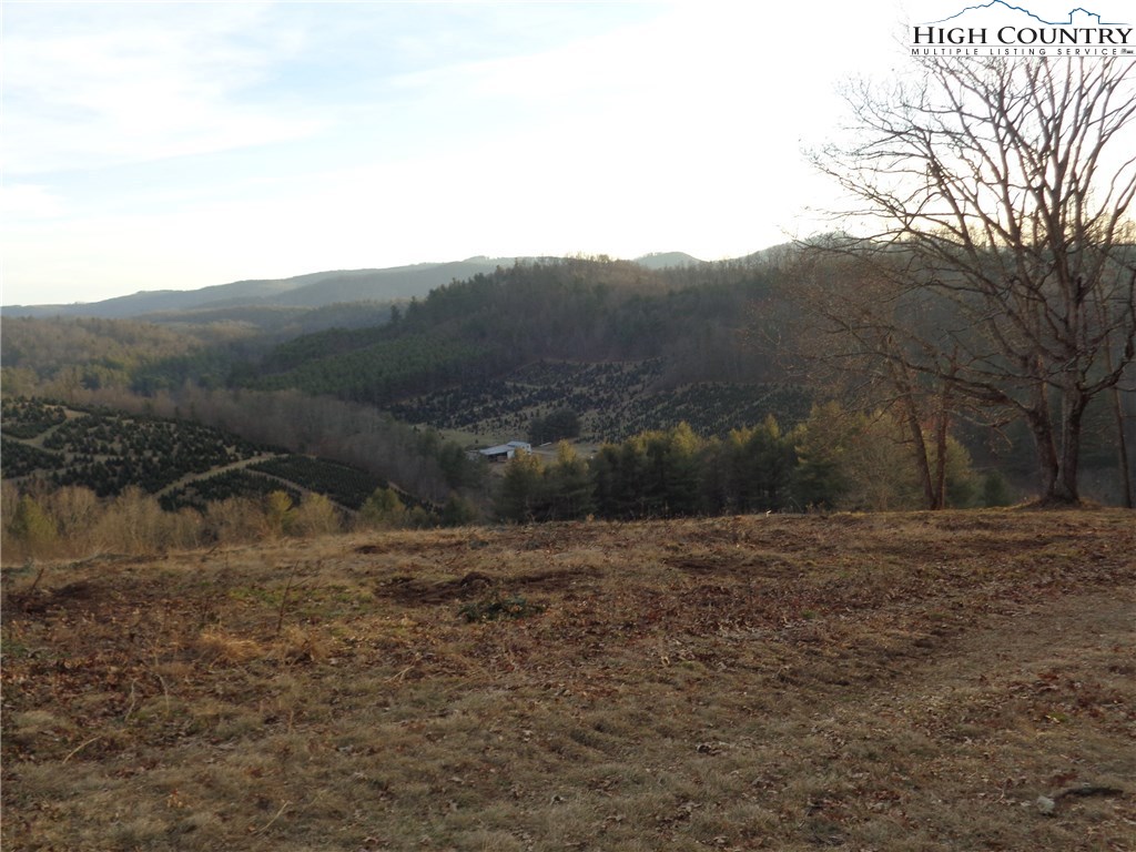 Tdb West Tdb W Reno Road West Jefferson, NC 28694 - Photo 10 of 18 Gallery Image 10