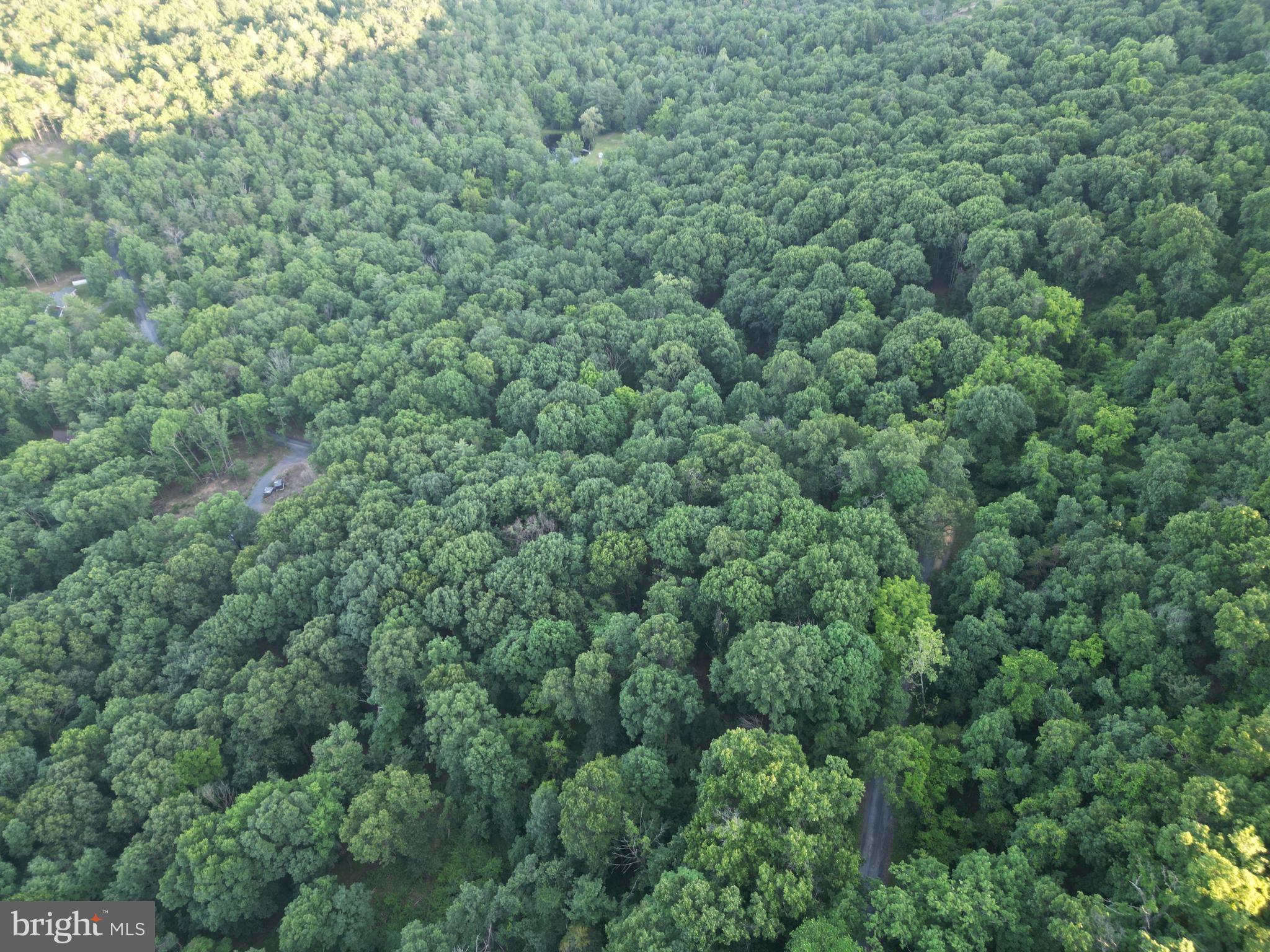 Tbd Rolly Road Mount Jackson, VA 22842 - Photo 4 of 20