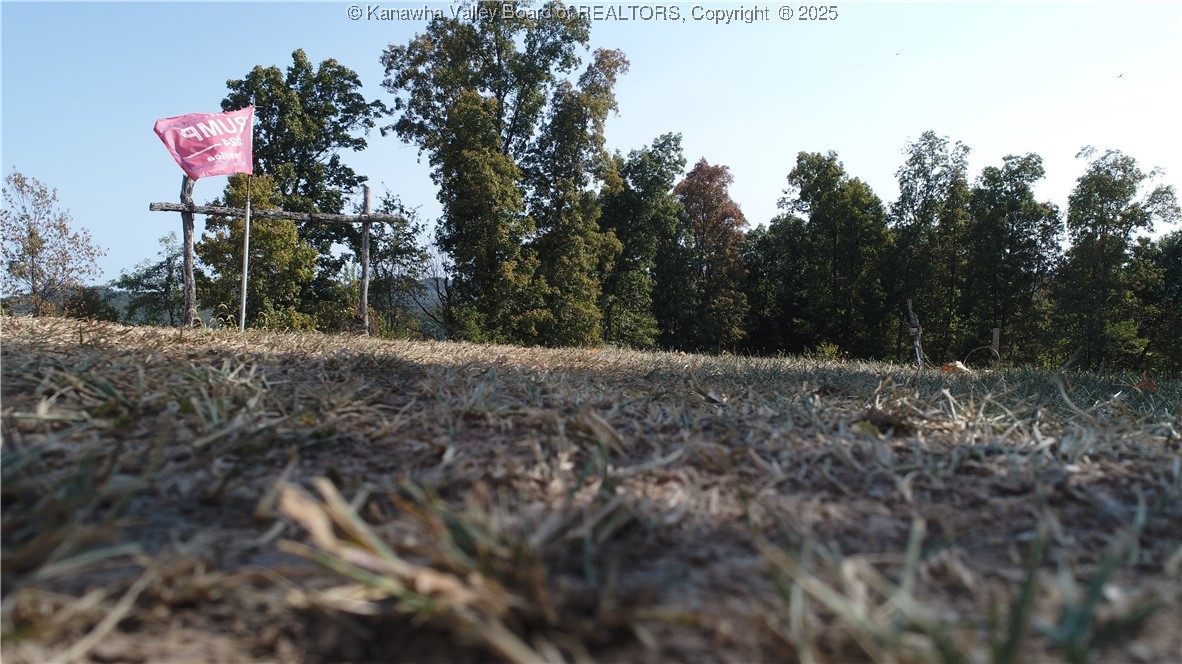 0 Elk River Road Procious, WV 25164 - Photo 10 of 24 Gallery Image 10