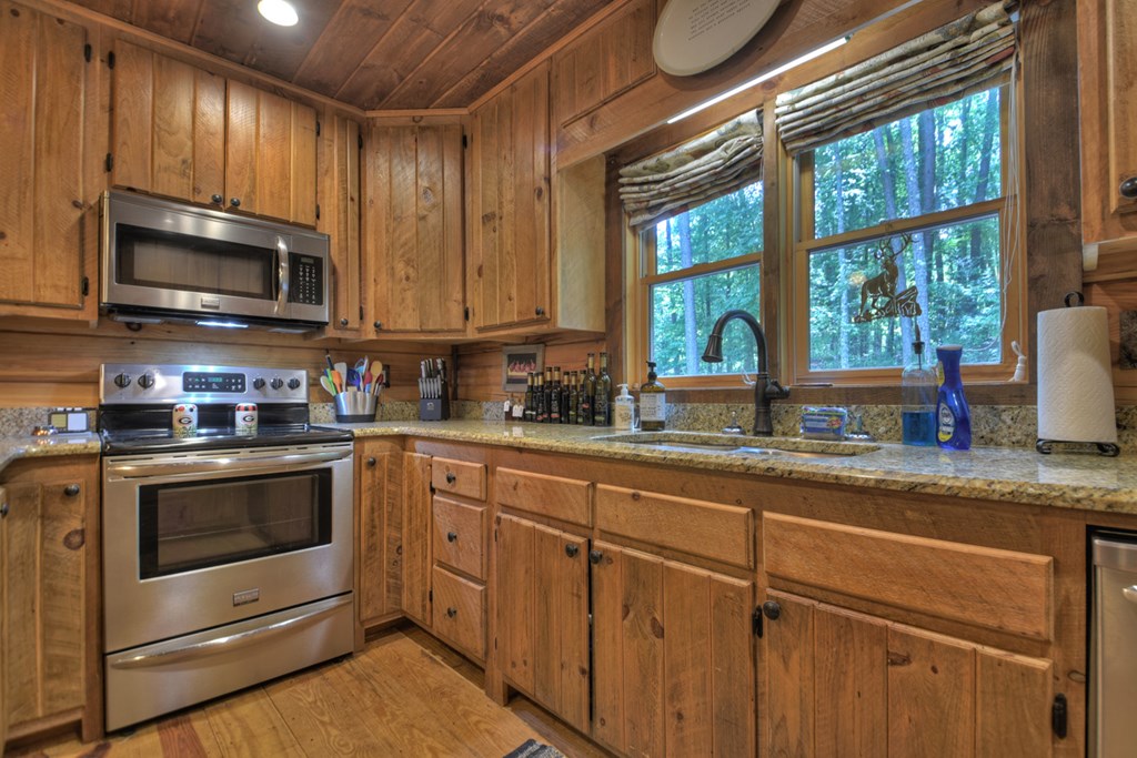 294 Icy Lane Blue Ridge, GA 30513 - Photo 22 of 41 Gallery Image 22