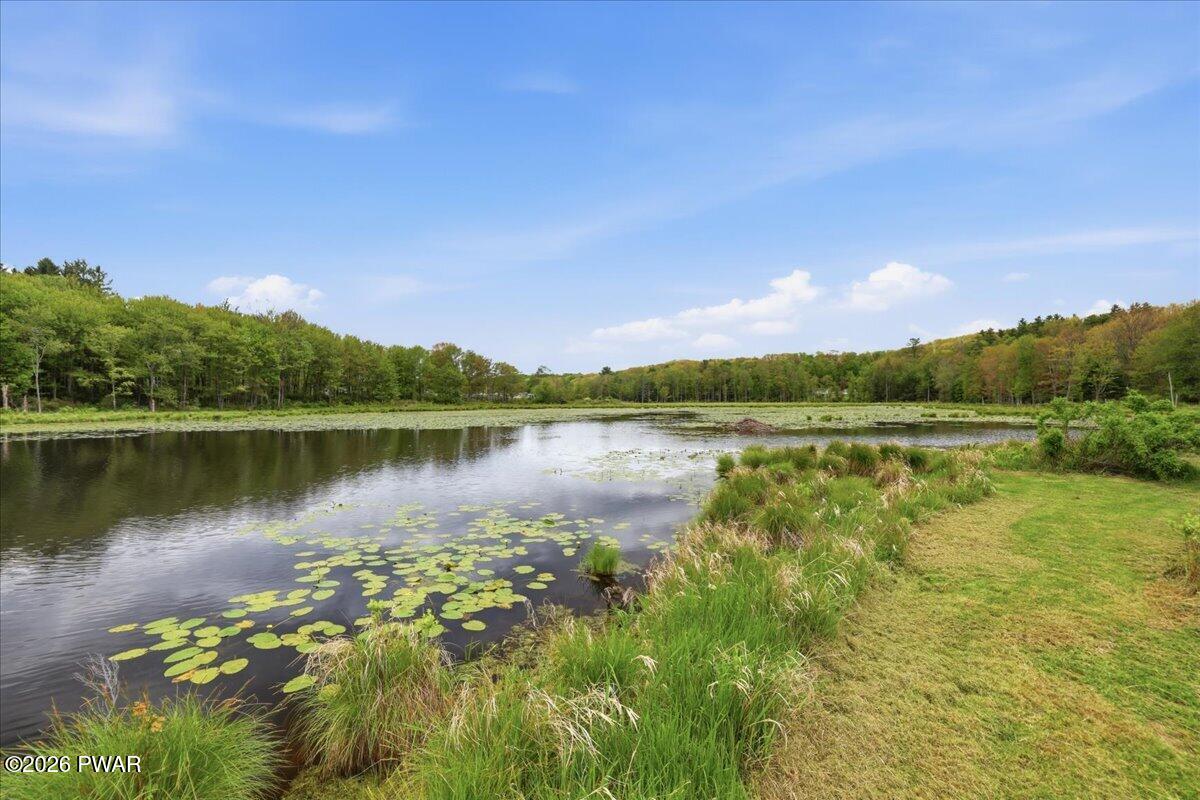 103 Forever Green Road Lakeville, PA 18438 - Photo 44 of 179
