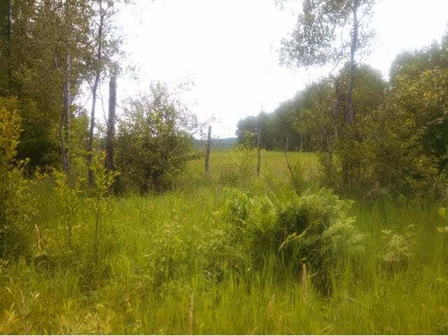 3760 Stephans Road Iron River, WI 54847 - Photo 16 of 18 Gallery Image 16